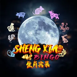 Sheng Xiao Bingo