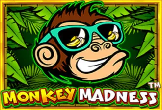 Monkey Madness Slot