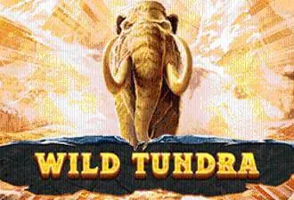 Wild Tundra Slot