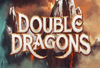 Double Dragons Slot